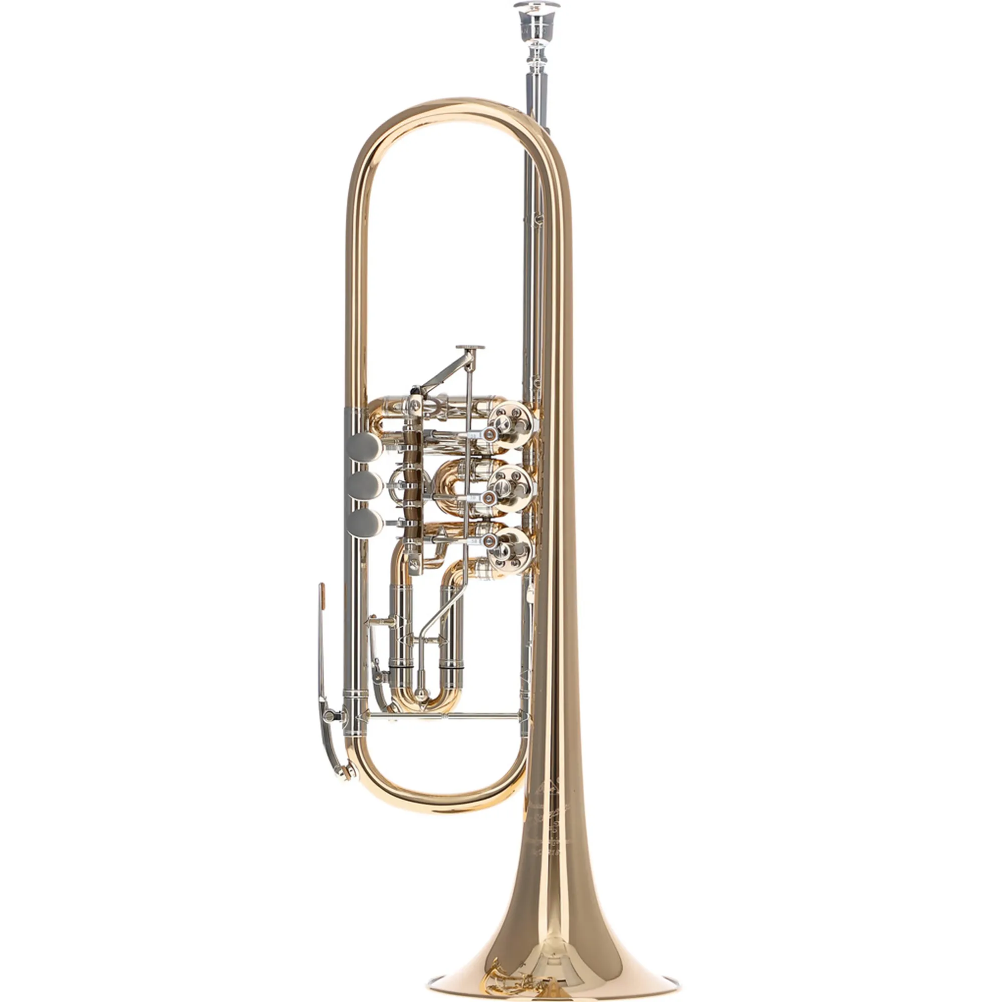 Vorderes Coverbild Scherzer 8218W-L