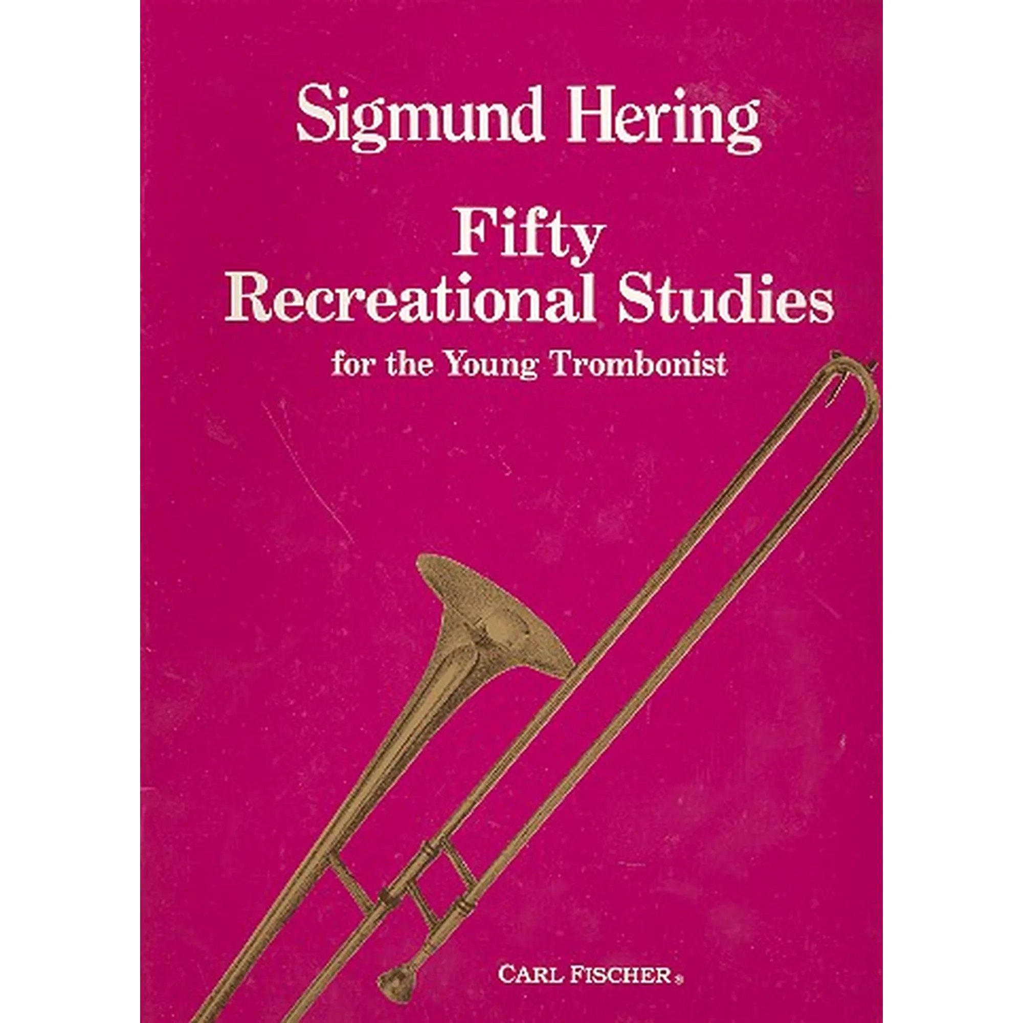 Vorderes Coverbild 50 Recreational Studies