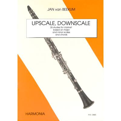 Vorderes Coverbild Upscale Downscale