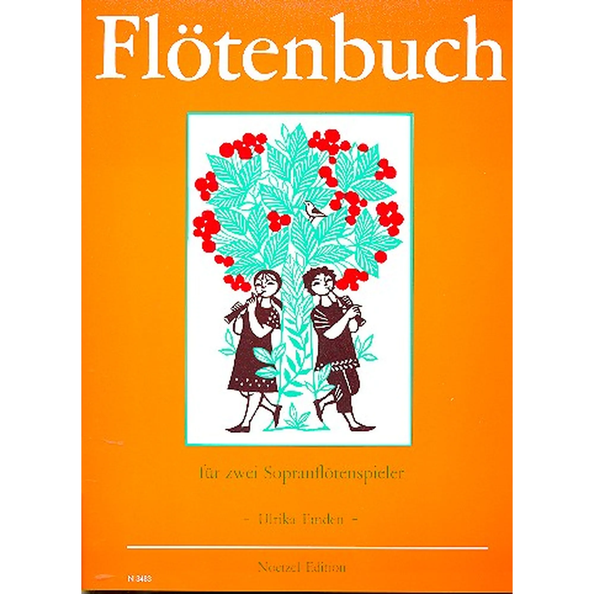 Vorderes Coverbild Flötenbuch