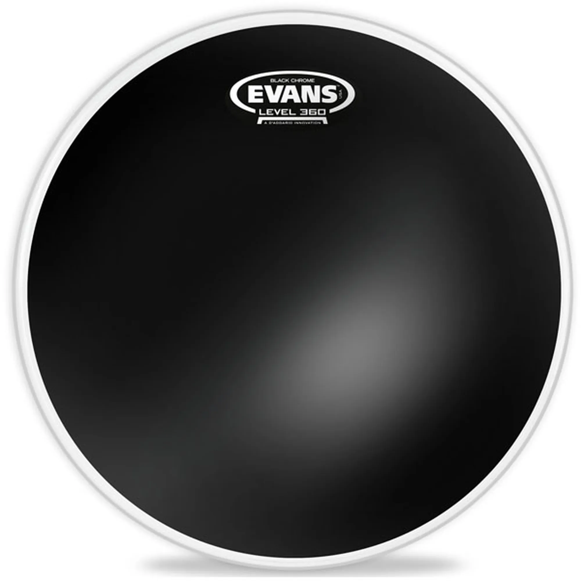 Vorderes Coverbild Evans Black Chrome 16"