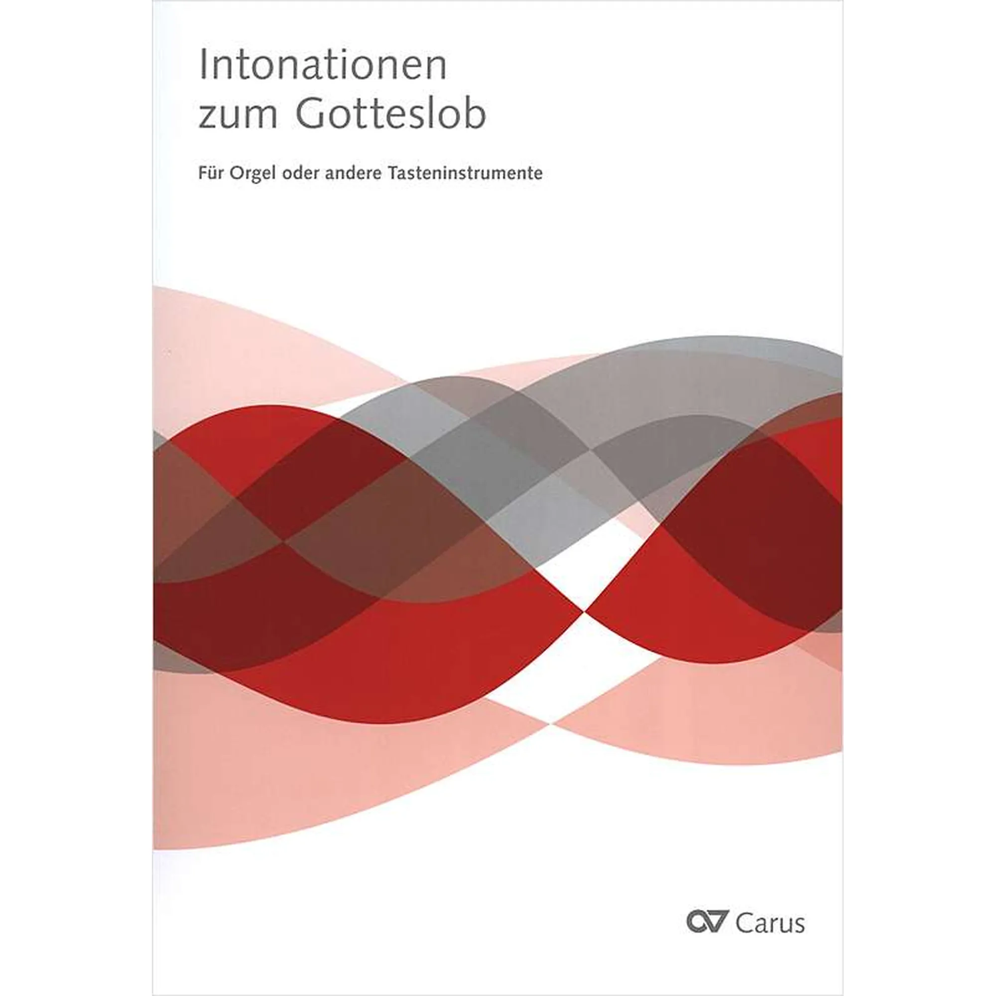 Vorderes Coverbild Intonationen zum Gotteslob