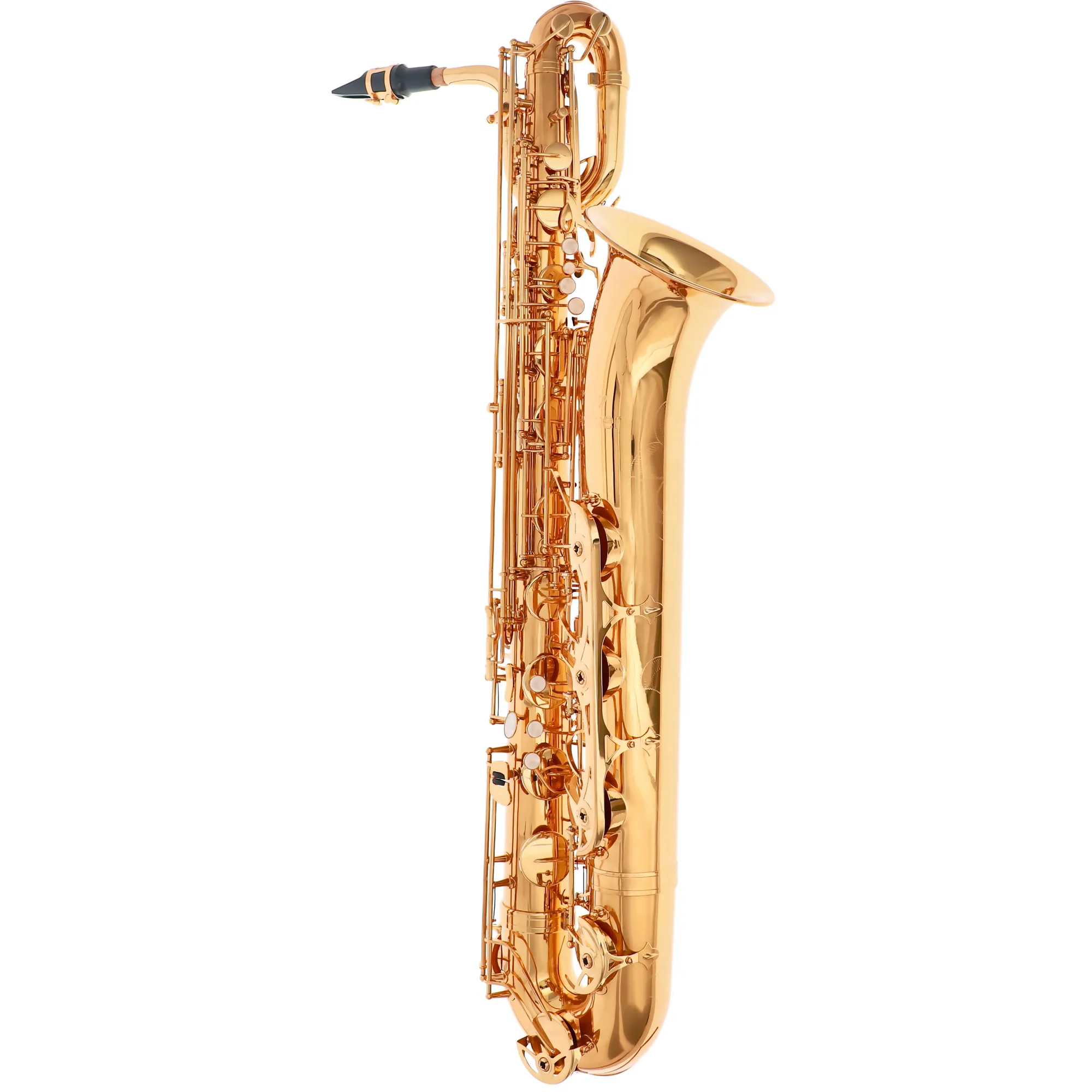 Vorderes Coverbild Reisser Academia RBS-48