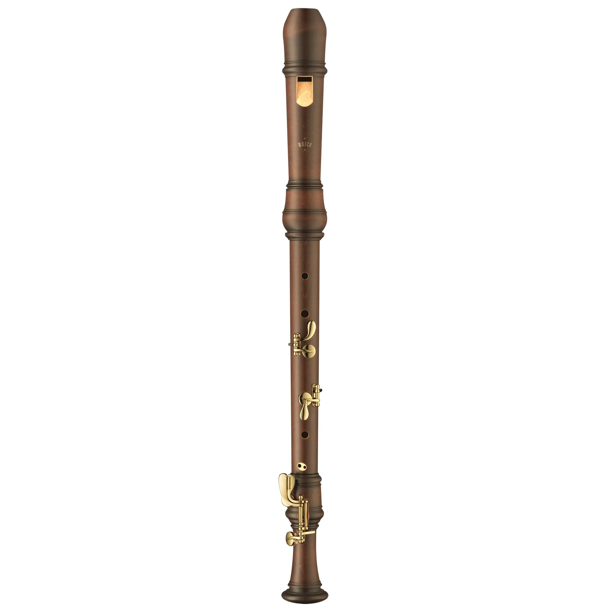 Vorderes Coverbild Moeck Rottenburgh 4921 Tenor PLUS