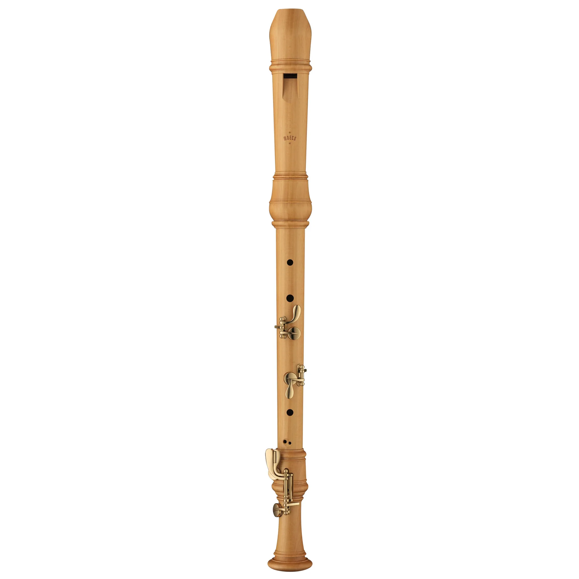 Vorderes Coverbild Moeck Rottenburgh 4924 Tenor PLUS