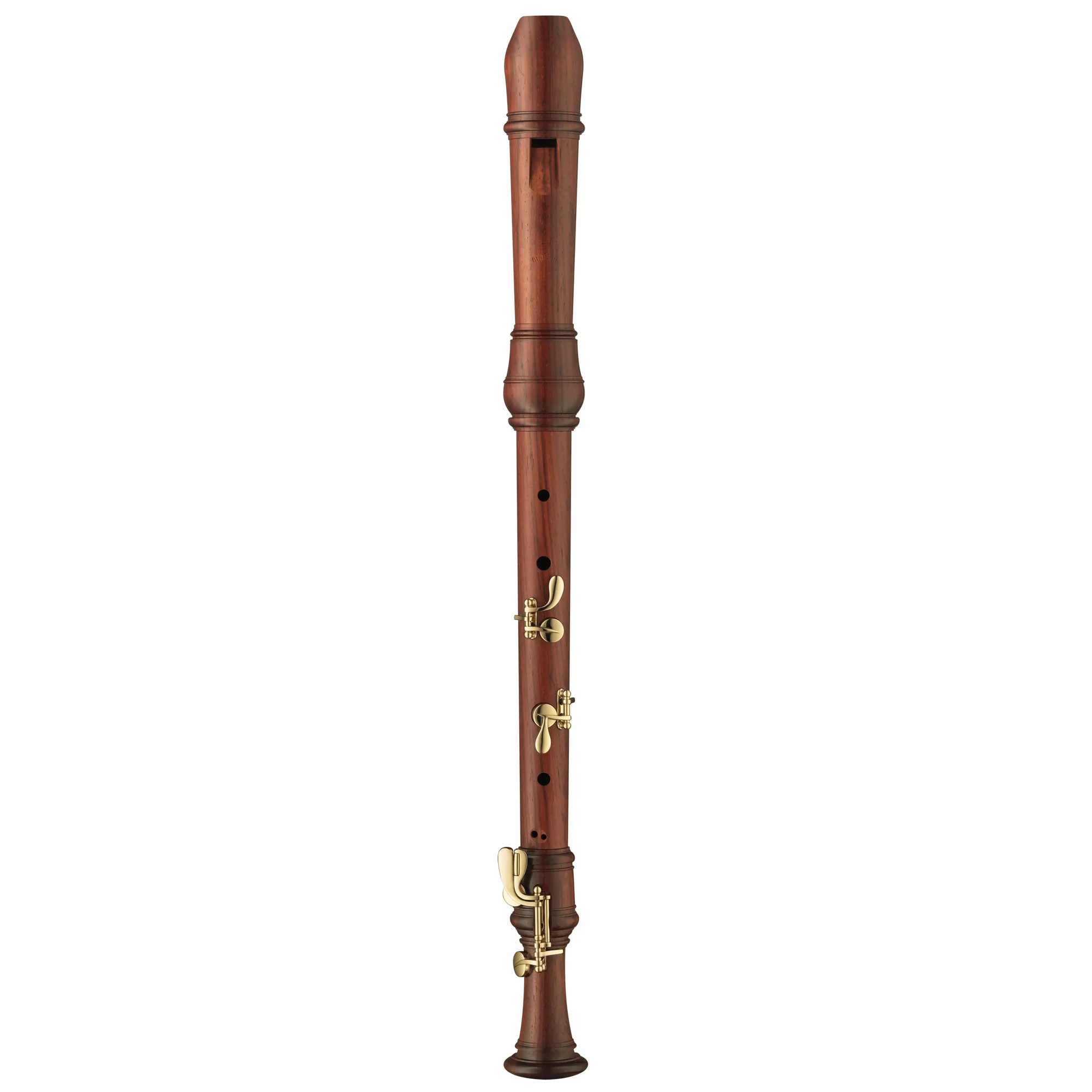 Vorderes Coverbild Moeck Rottenburgh 4925 Tenor PLUS