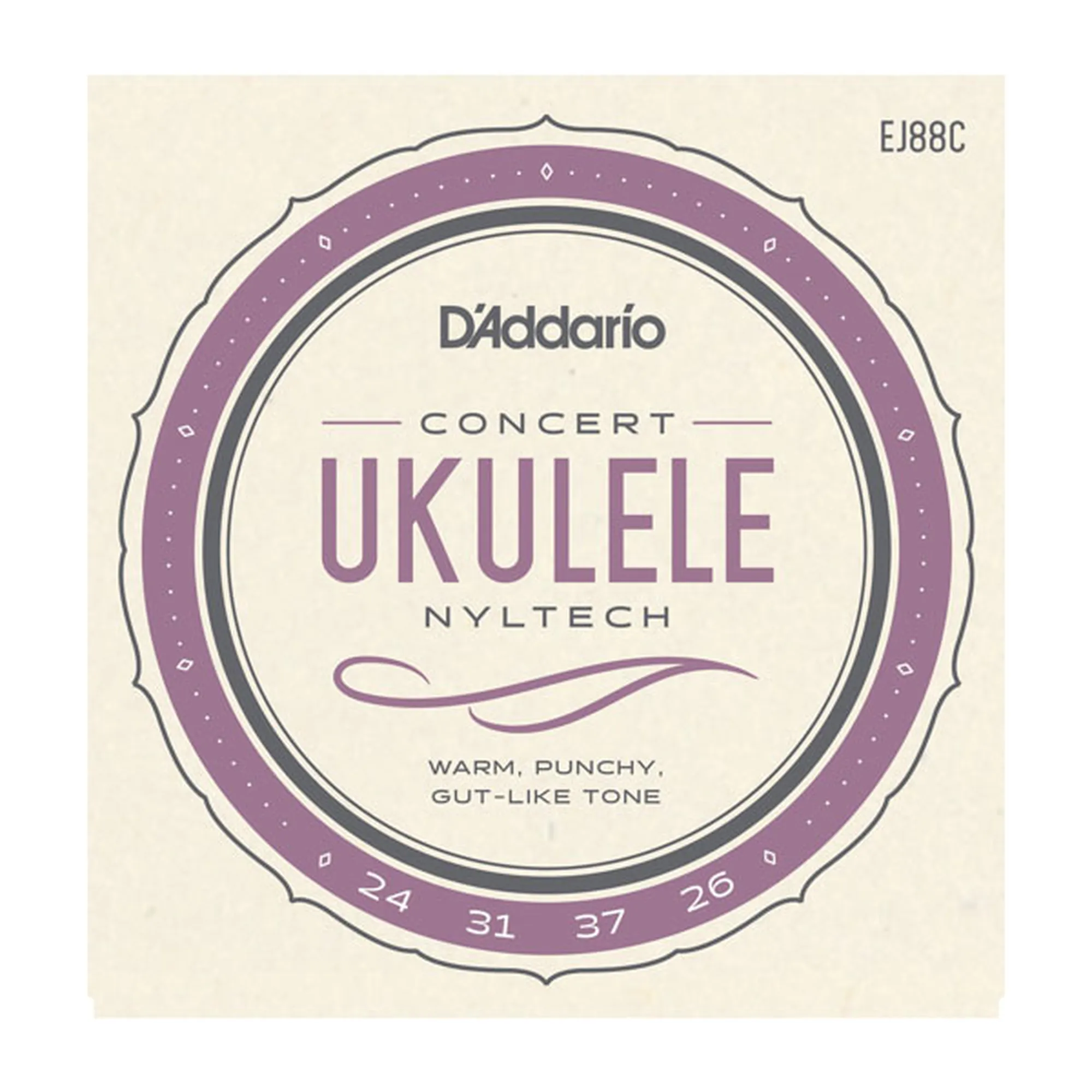 Vorderes Coverbild D´Addario EJ88C Concert Ukulele