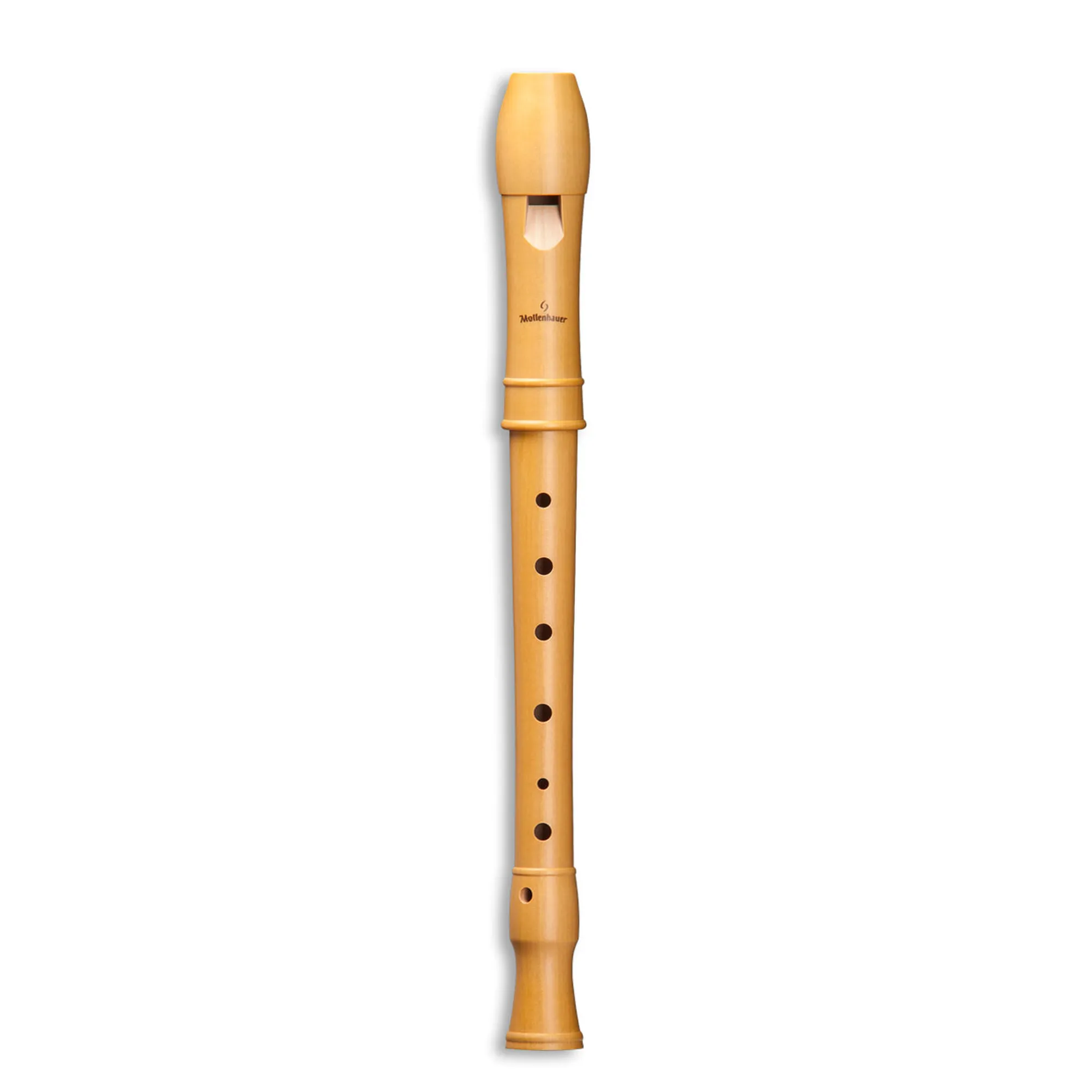 Vorderes Coverbild Mollenhauer Canta 2156
