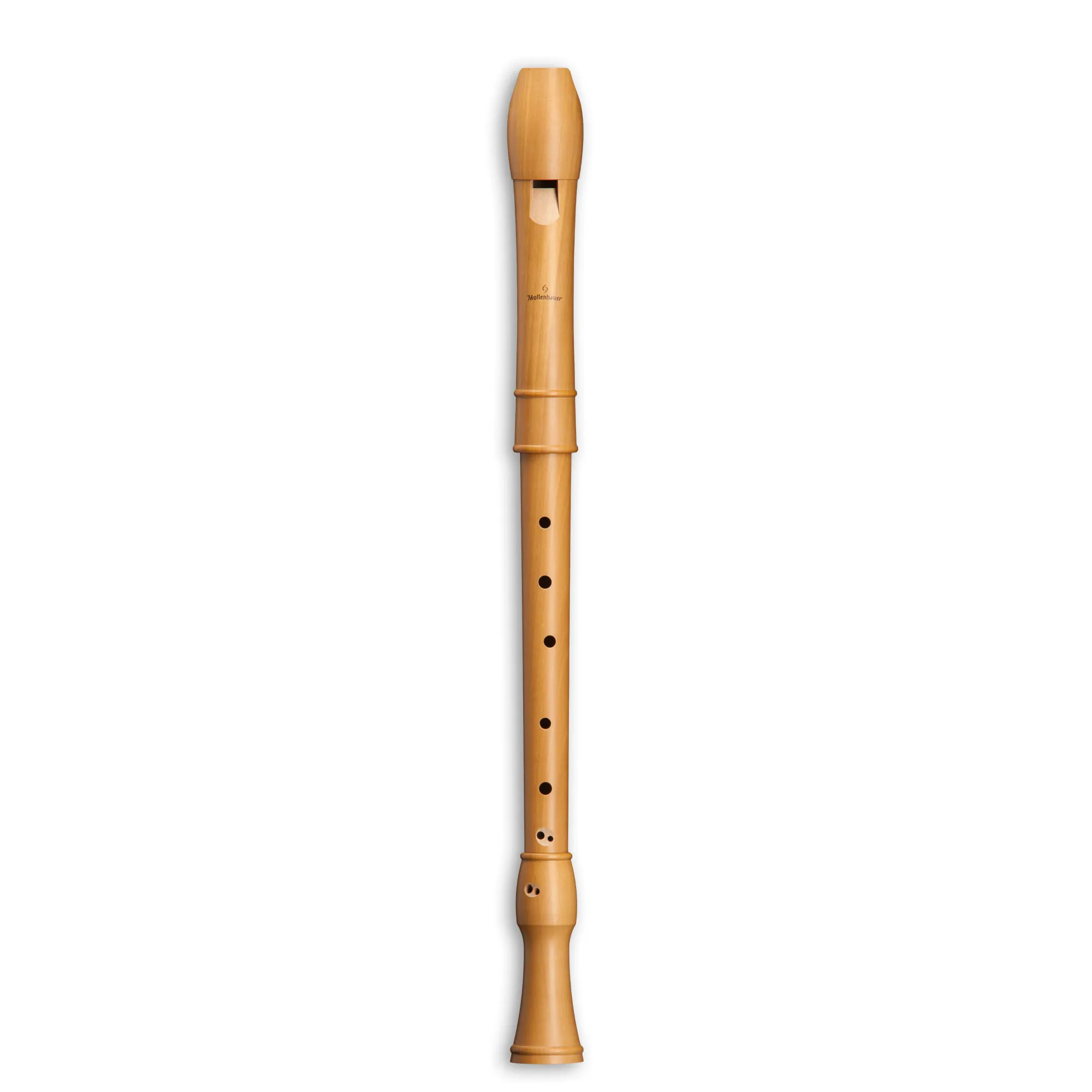 Vorderes Coverbild Mollenhauer Canta 2406