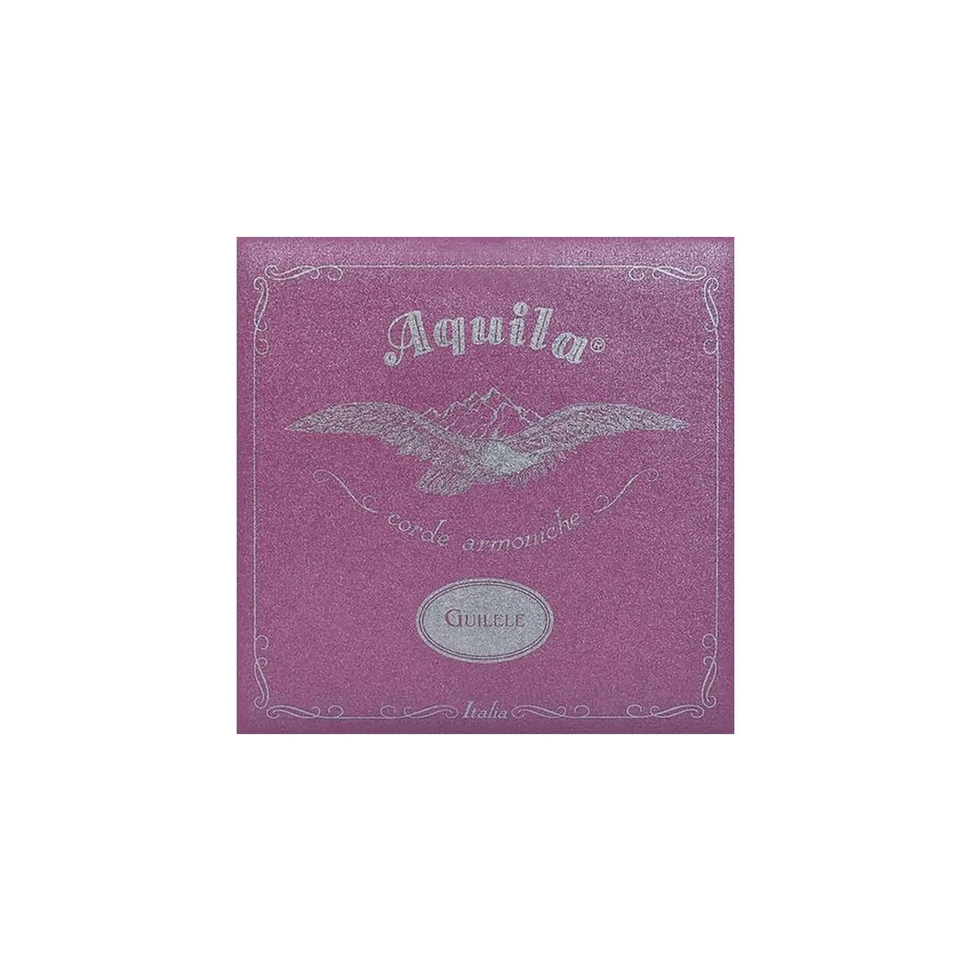 Vorderes Coverbild Aquila Guitalele 96C