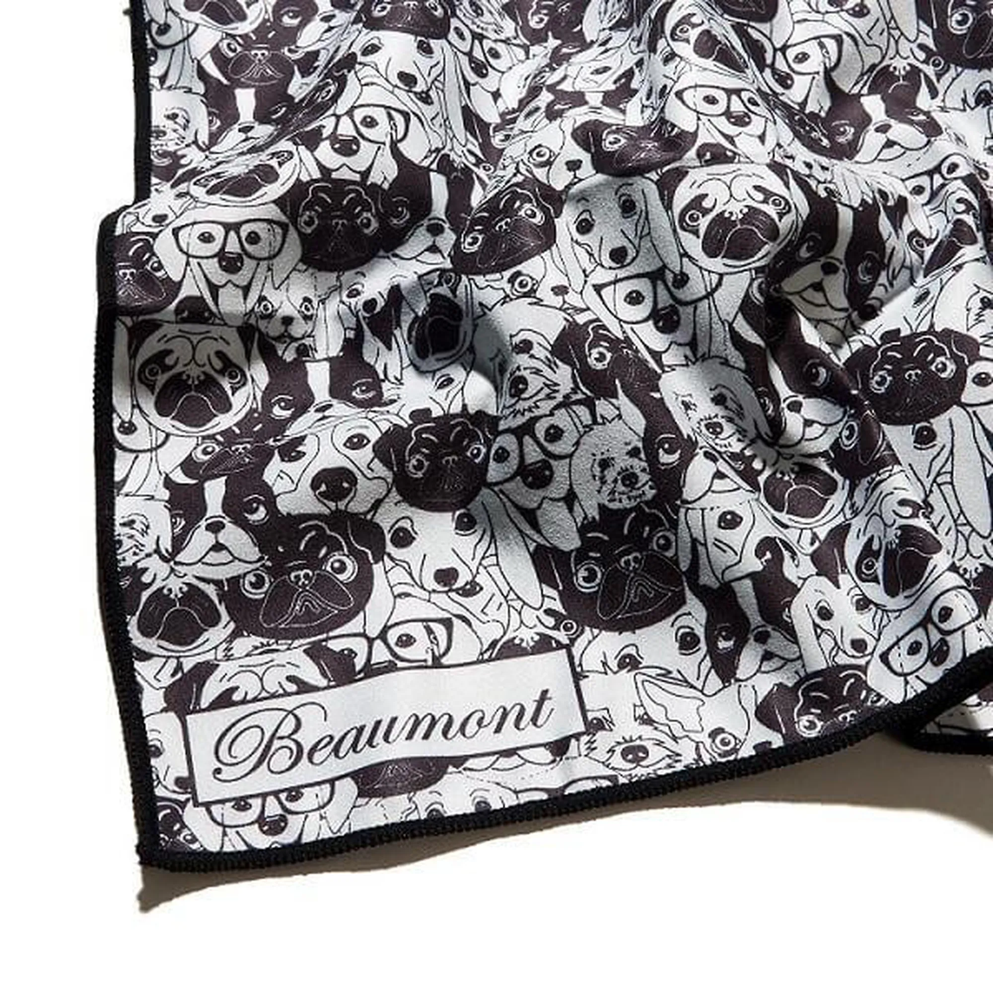 Anderes Coverbild Beaumont Old Dog BFC4030-OD
