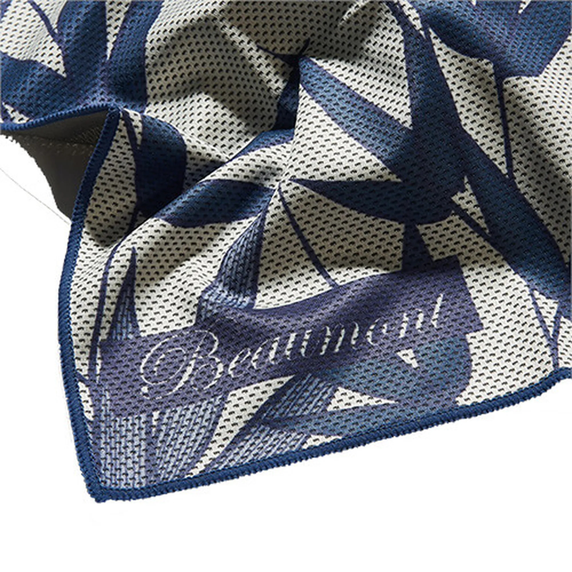 Anderes Coverbild Beaumont Querflöte - Indigo Shoots BFS2525-IS