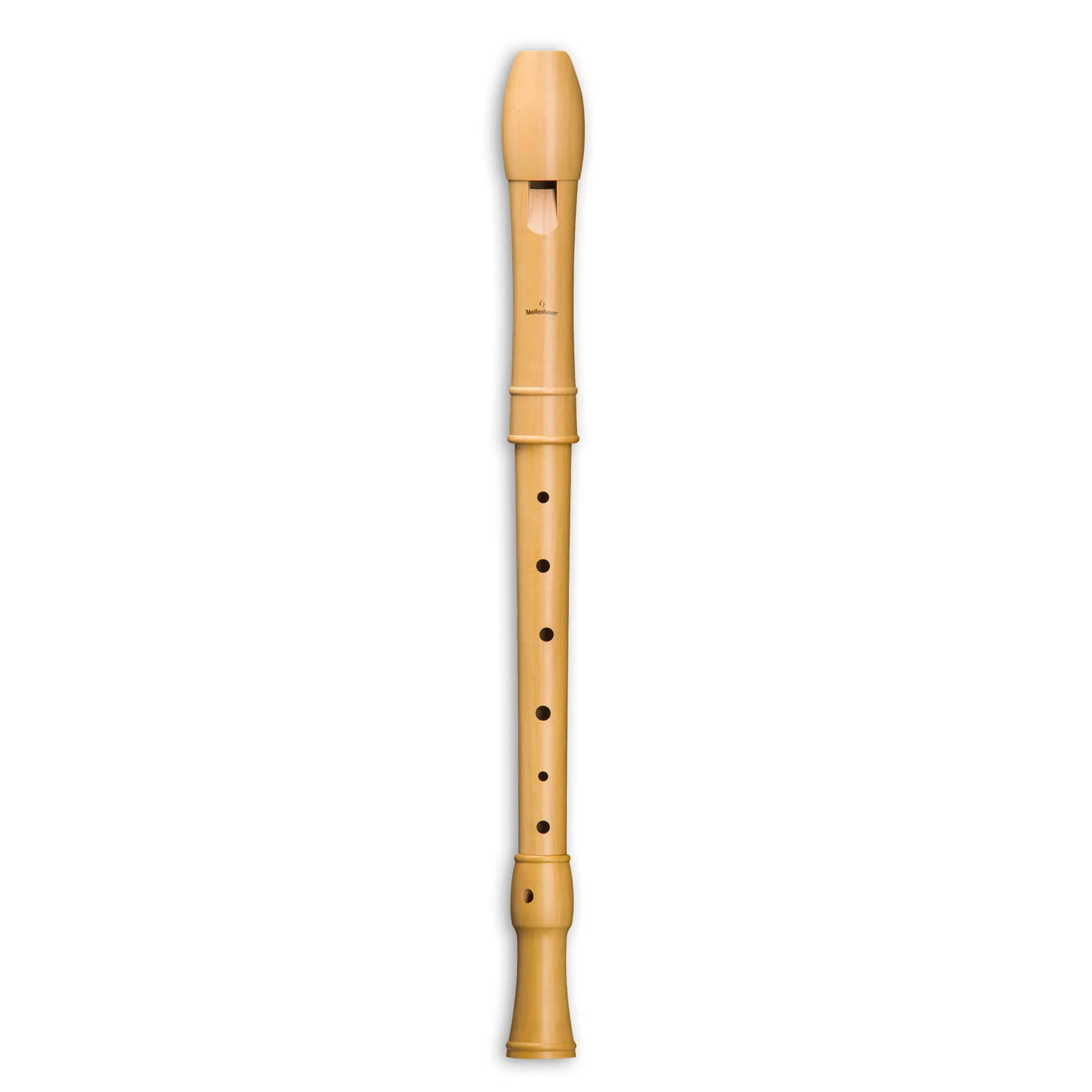 Vorderes Coverbild Mollenhauer Canta 2256