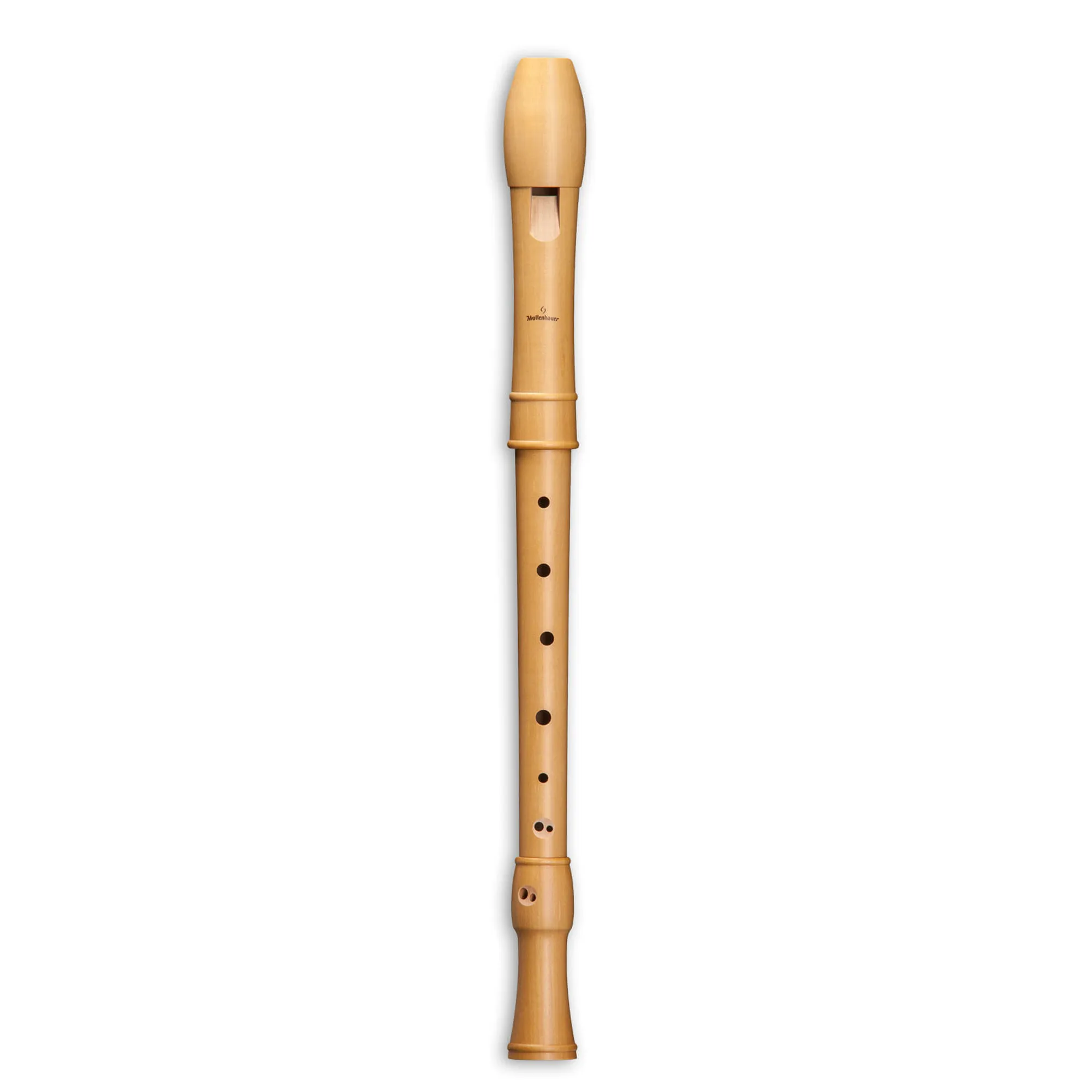 Vorderes Coverbild Mollenhauer Canta 2266