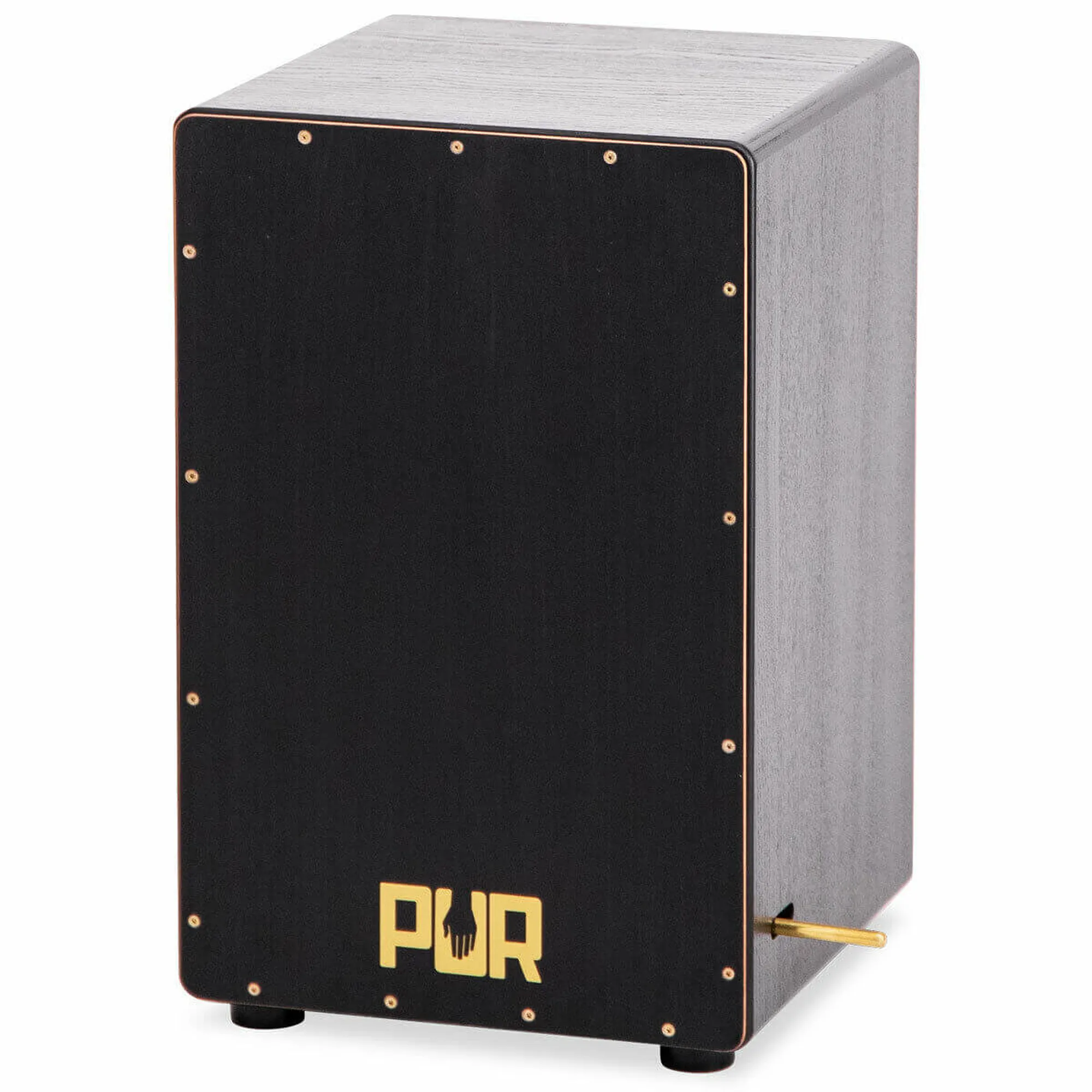 Vorderes Coverbild PUR Vision PRO Black & Gold