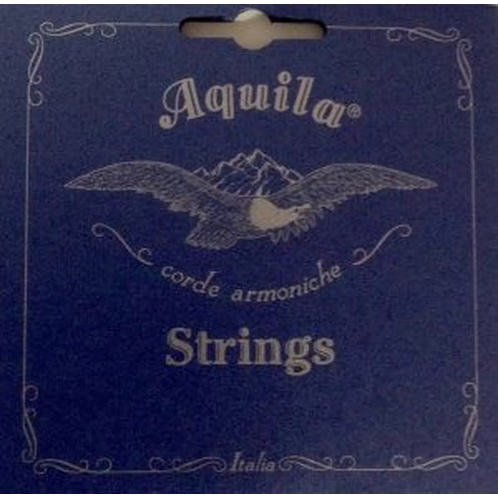 Vorderes Coverbild Aquila Guitalele 145C