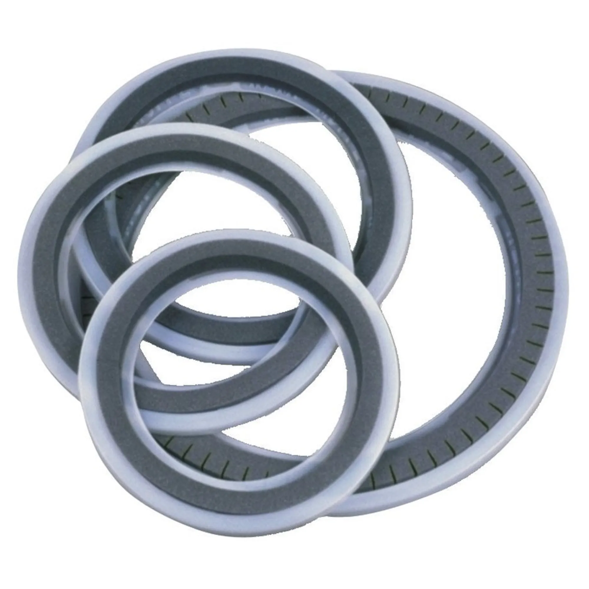 Vorderes Coverbild Remo Muffl Control Ring 13"