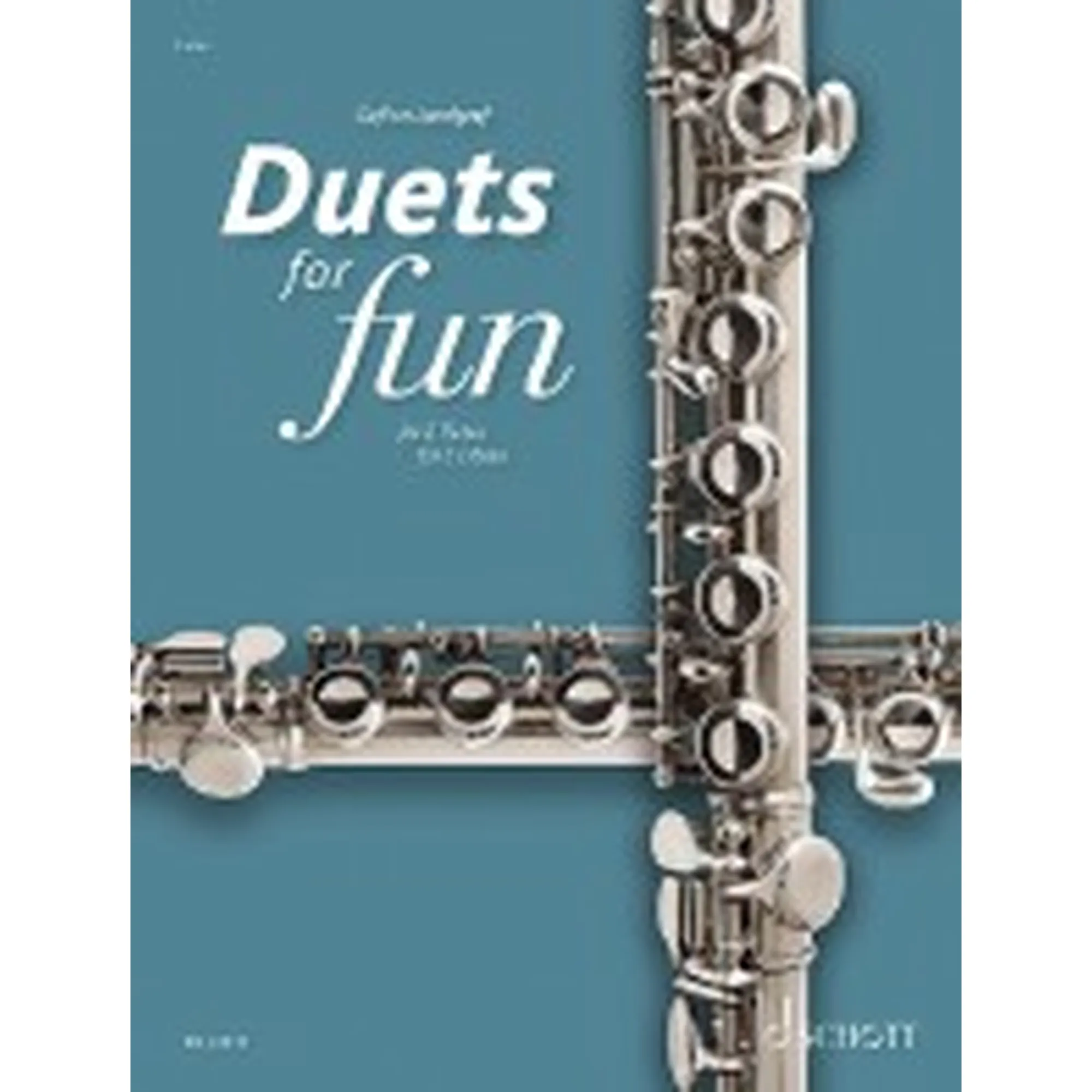 Vorderes Coverbild Duets for Fun