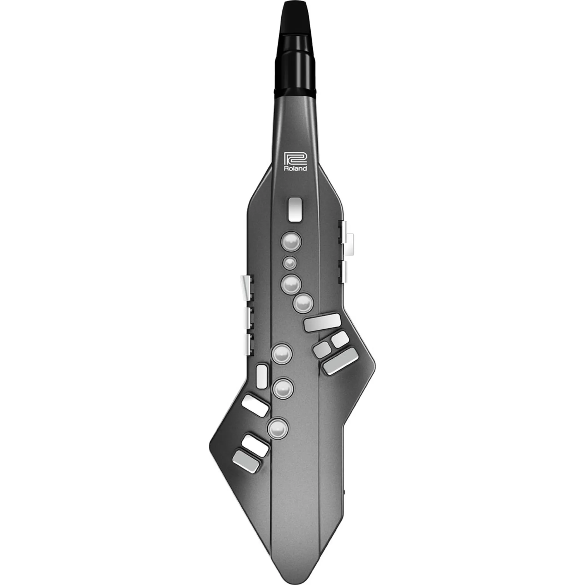 Vorderes Coverbild Roland Aerophone AE-05 GO
