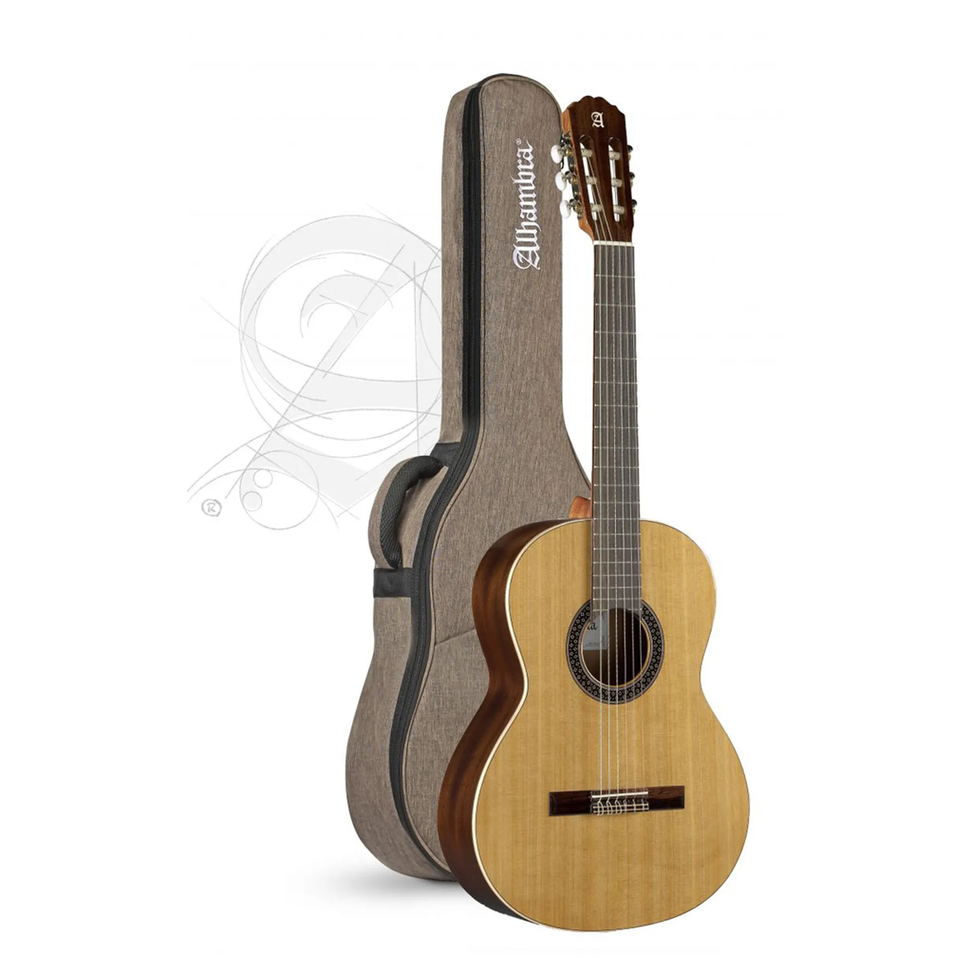 Vorderes Coverbild Alhambra 1C Hybrid Terra 7/8 mit Gigbag