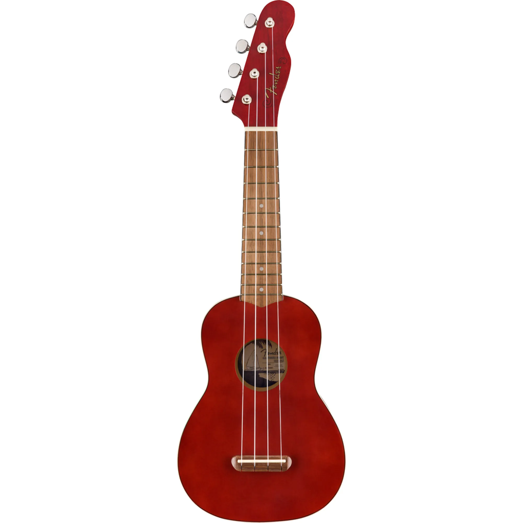 Vorderes Coverbild Fender Venice CHY WN