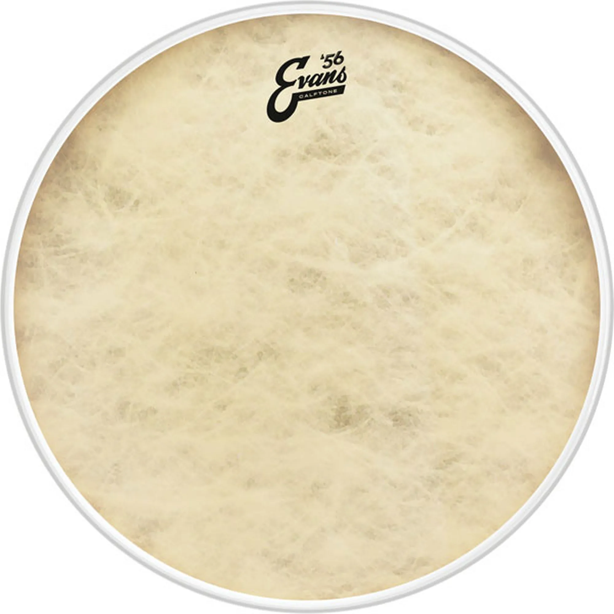 Vorderes Coverbild Evans EQ4 Calftone 20"