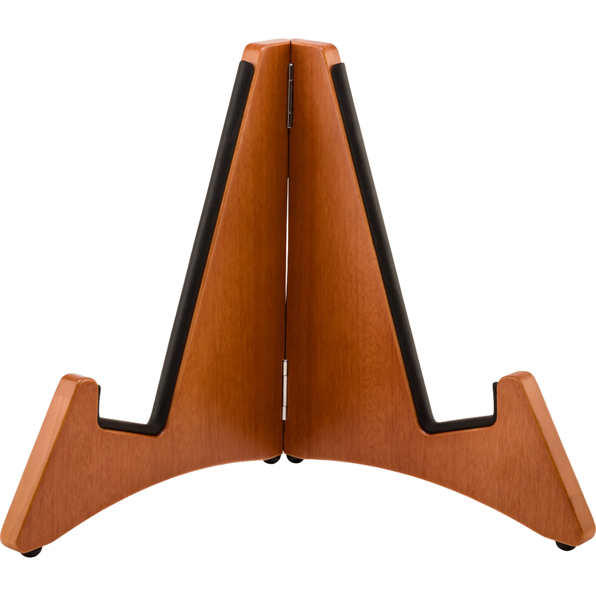 Vorderes Coverbild Fender Timberframe Electric