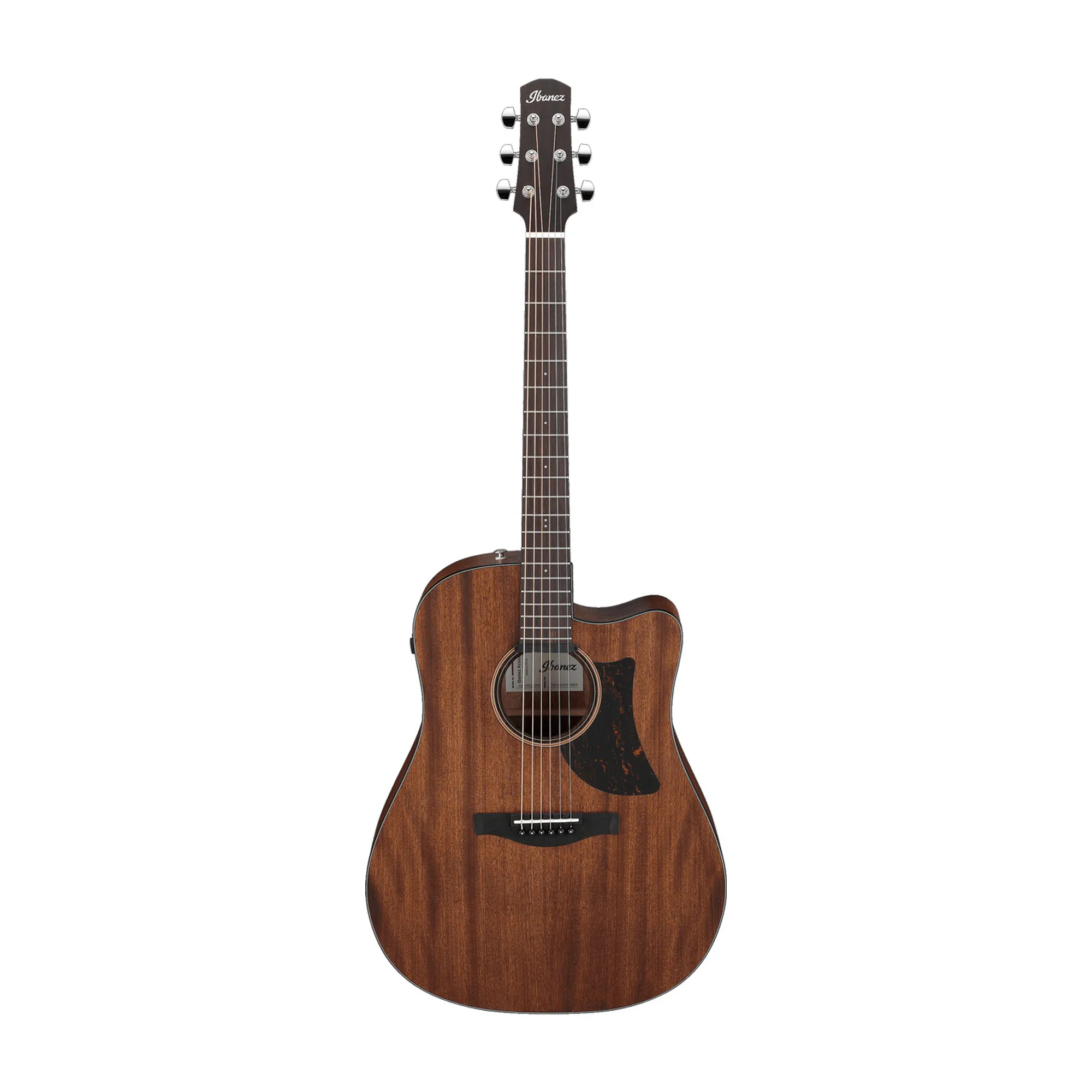 Vorderes Coverbild Ibanez AAD190CE-OPN