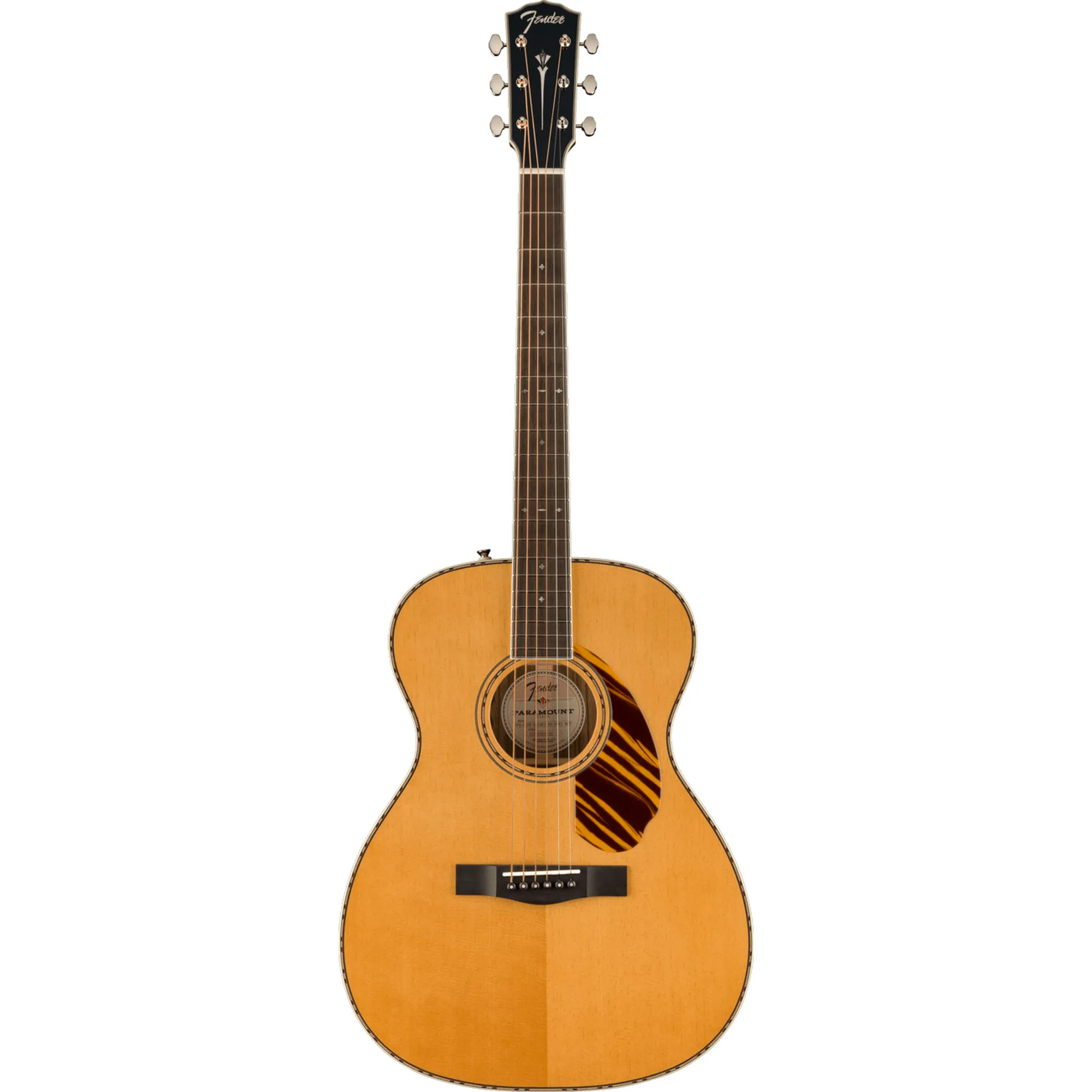 Vorderes Coverbild Fender PO-220E Aged Natural Limited