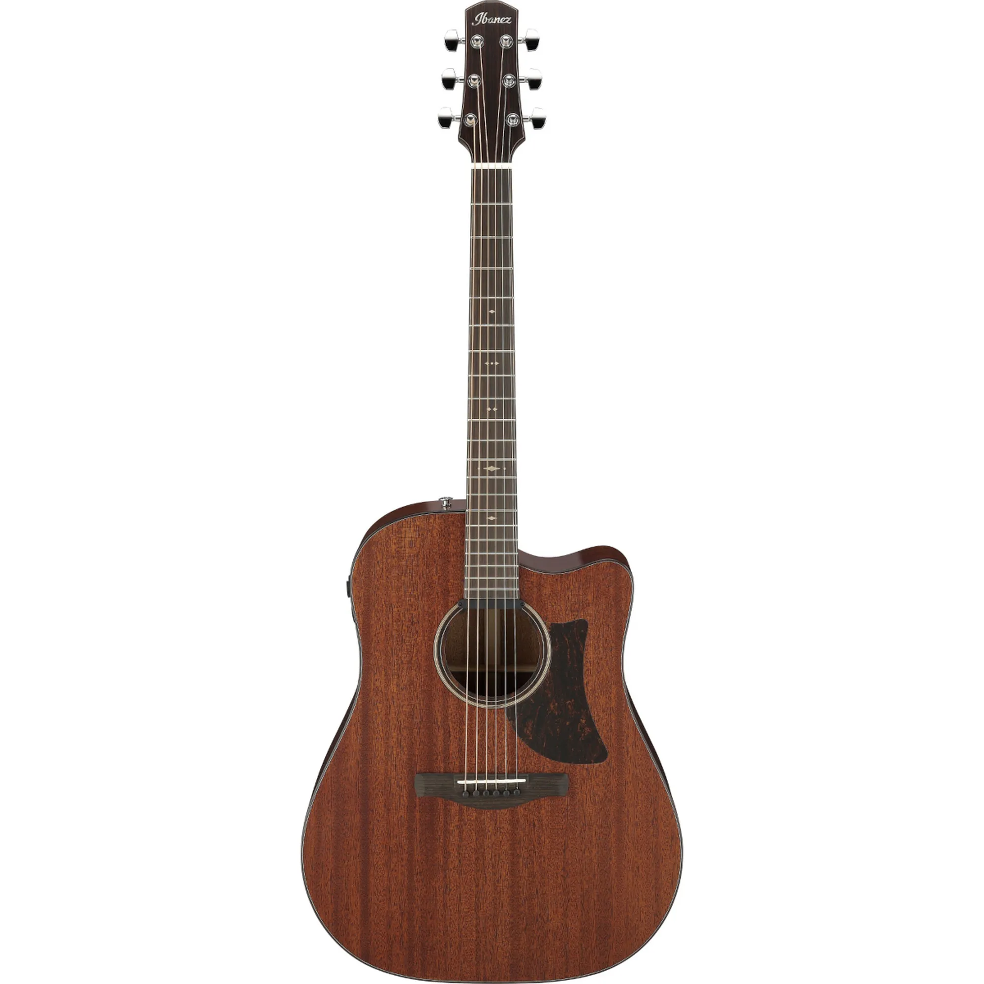 Vorderes Coverbild Ibanez AAD440CE-LGS