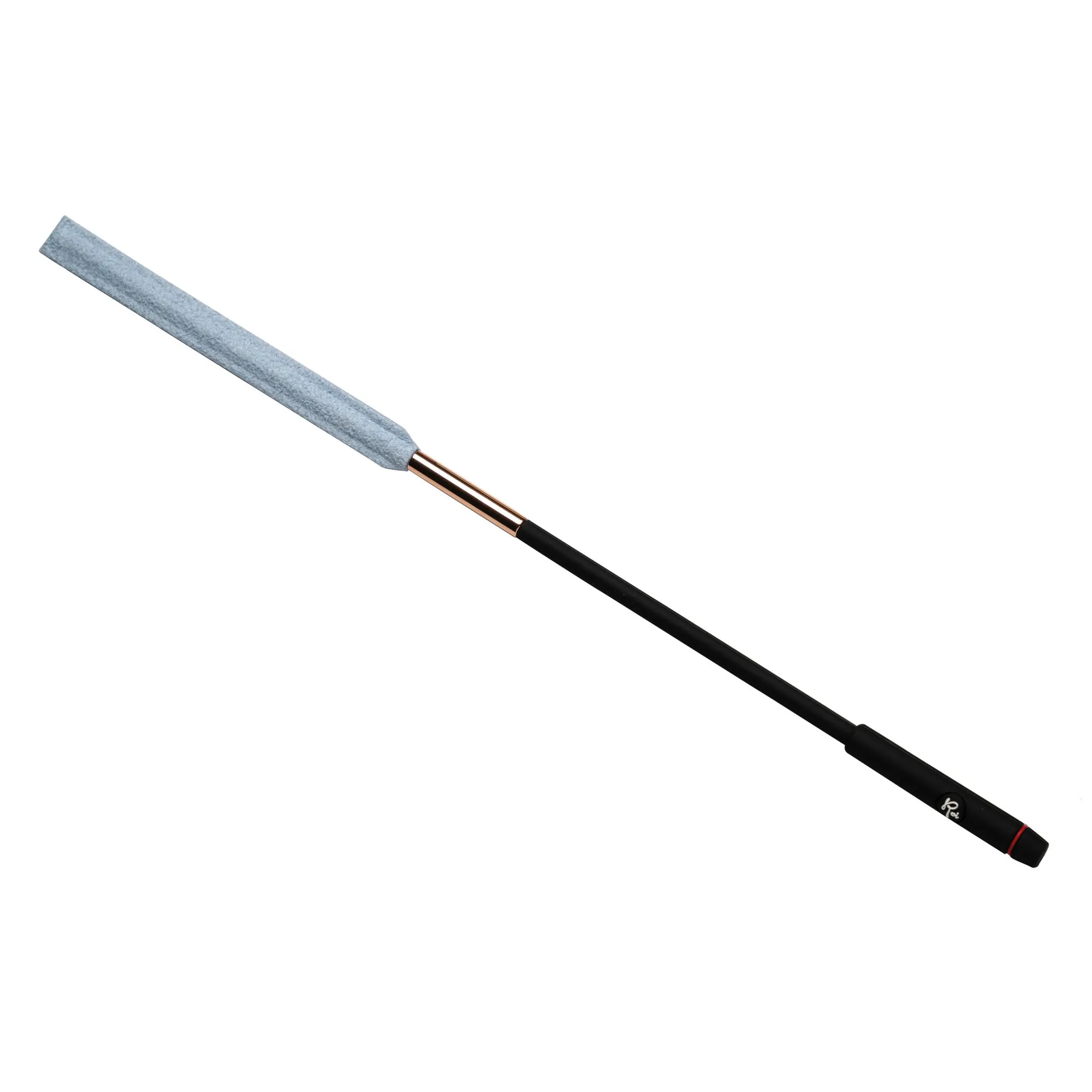 Vorderes Coverbild ROI Piccolo Master PMC Cleaner Blue
