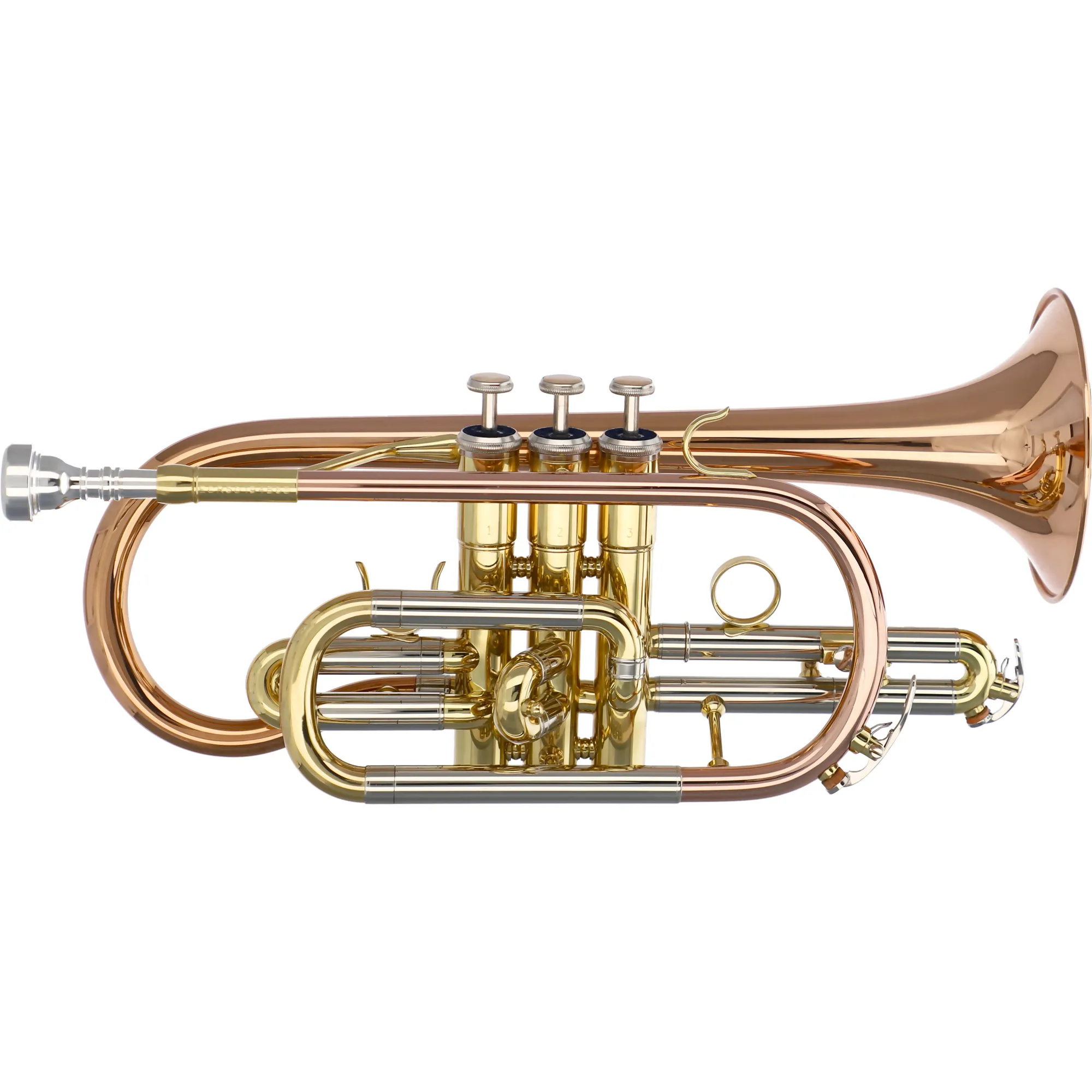 Vorderes Coverbild Reisser Student RCR-501G