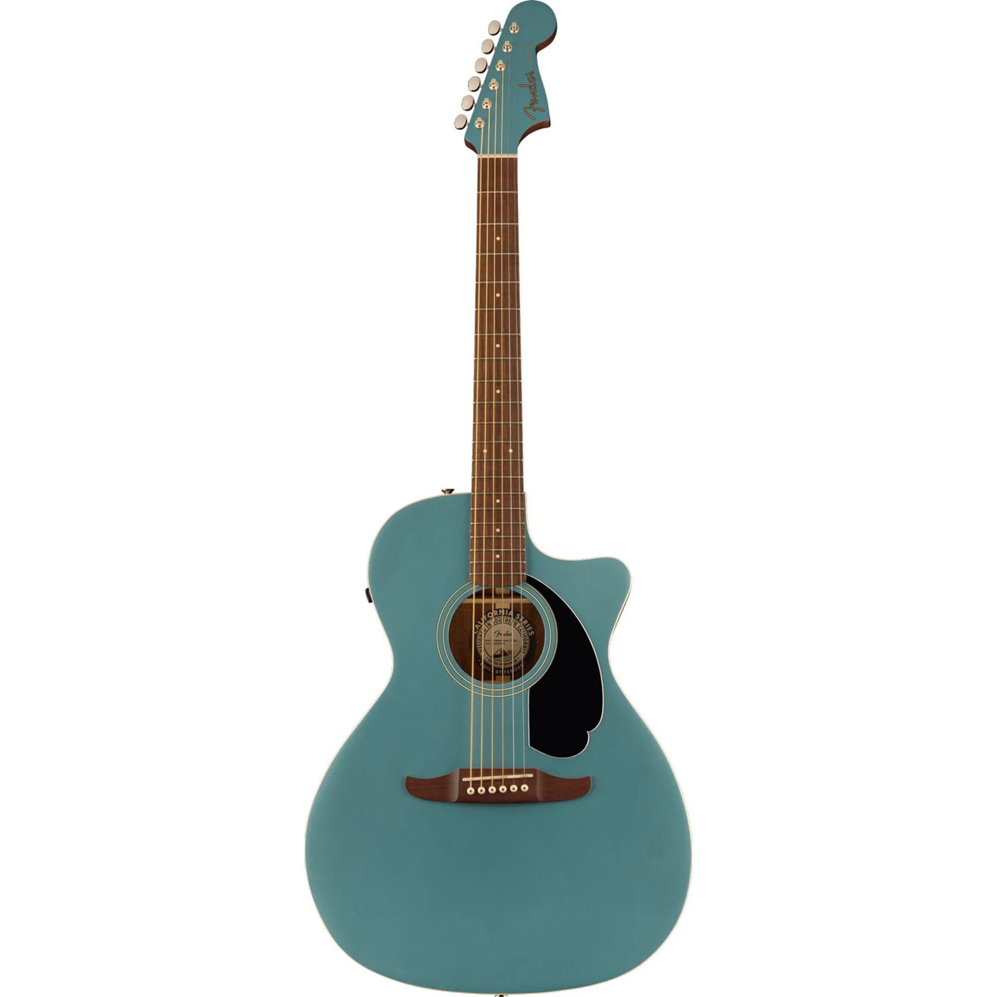 Vorderes Coverbild Fender Newporter Player TPL