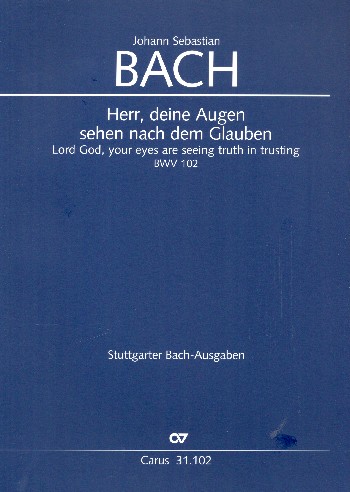 Vorderes Coverbild Herr, deine Augen sehen nach dem Glauben