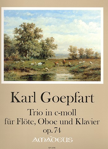 Vorderes Coverbild Trio c-Moll op.74