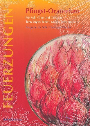 Vorderes Coverbild Feuerzungen