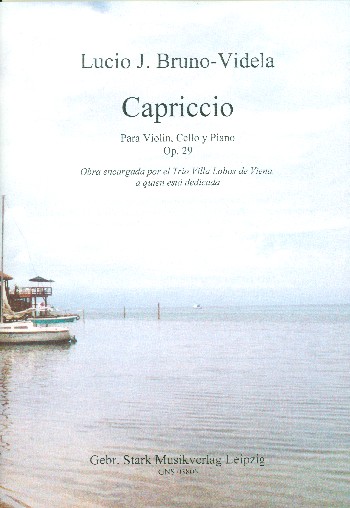 Vorderes Coverbild Capriccio op.29