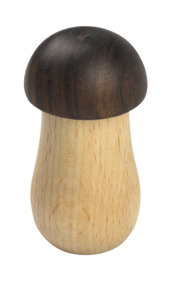 Vorderes Coverbild Rassel-Pilz
