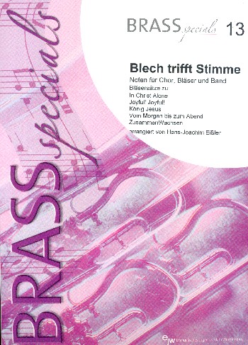 Vorderes Coverbild Blech trifft Stimme