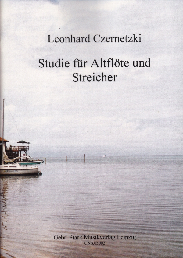 Vorderes Coverbild Studie