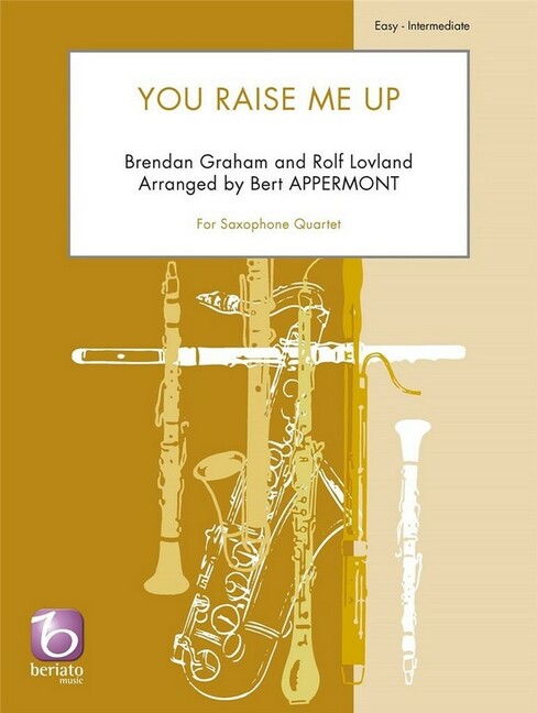 Vorderes Coverbild You Raise Me Up