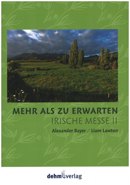 Vorderes Coverbild Irische Messe 2 'Mehr als zu erwarten'