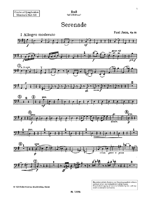 Vorderes Coverbild Serenade op.85