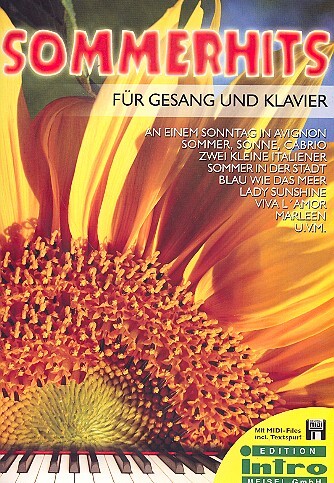 Vorderes Coverbild Sommerhits