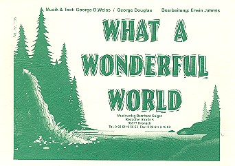 Vorderes Coverbild What a wonderful world: