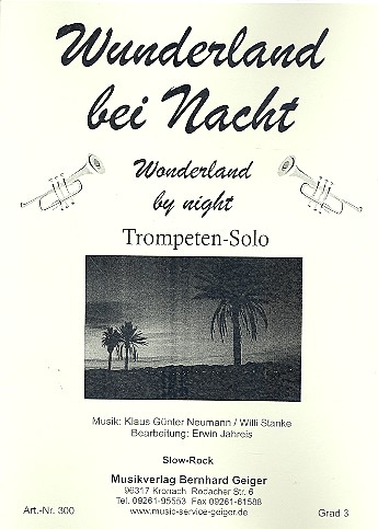 Vorderes Coverbild Wunderland bei Nacht