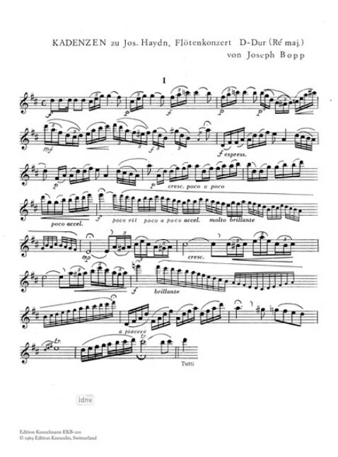 Vorderes Coverbild 2 Kadenzen zum Konzert für Flöte und Orchester von J.Haydn