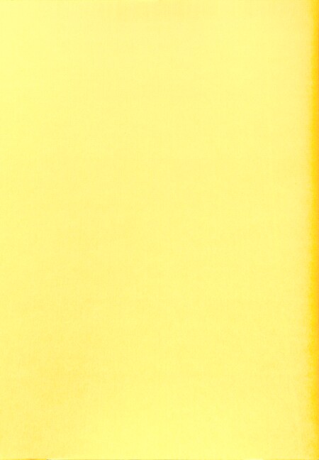 Vorderes Coverbild 9 Orgelstücke