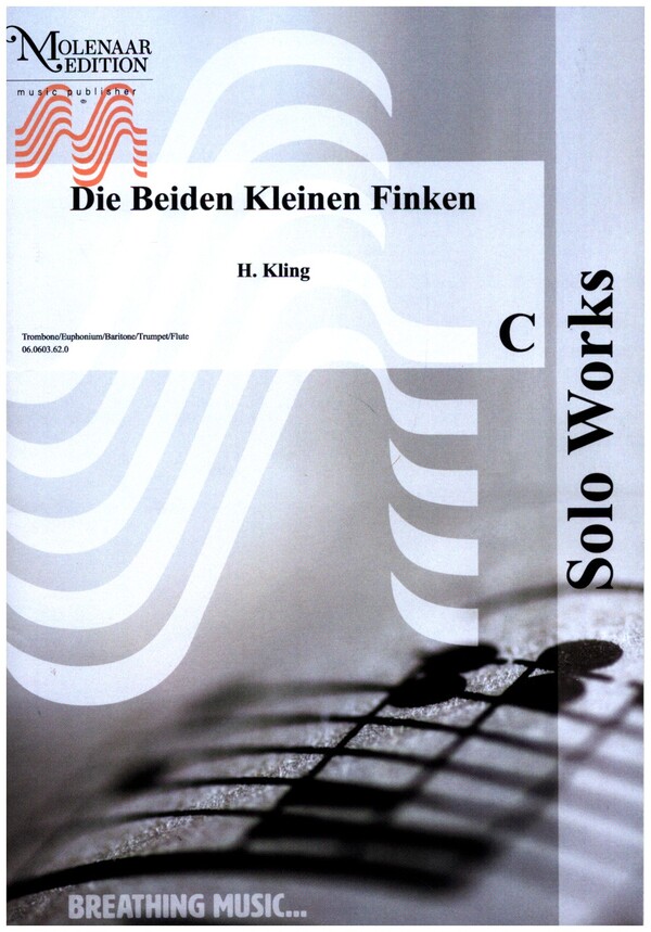 Vorderes Coverbild Die beiden kleinen Finken
