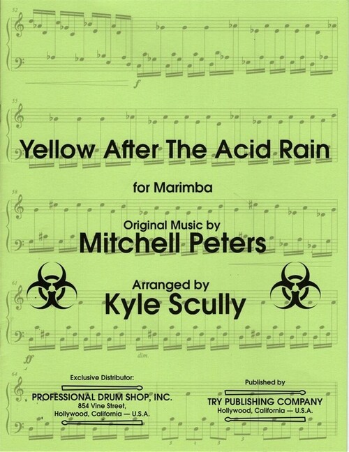 Vorderes Coverbild Yellow After The Acid Rain